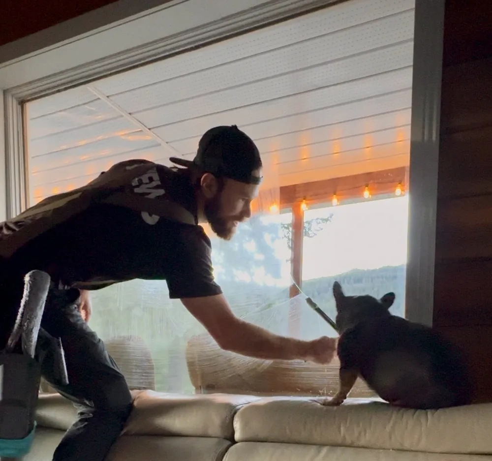 Ryan carefully cleaning a window beside a family cat